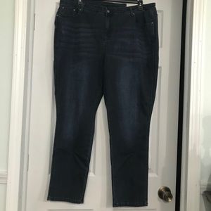 Women's Plus Size 12 Thompson Jeans